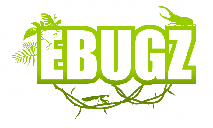 EBUGZ Logo