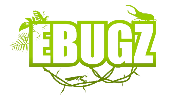 EBUGZ Logo