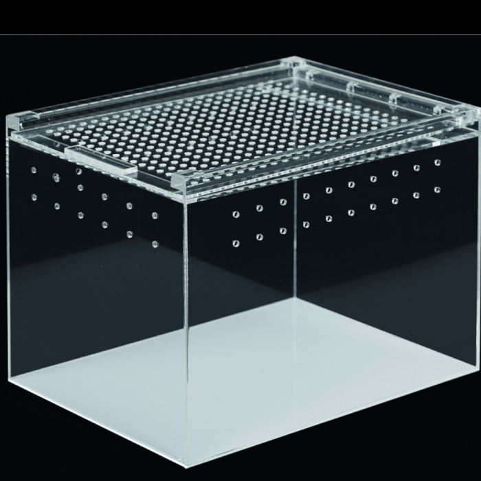Terrarium acrylique 15x20x15