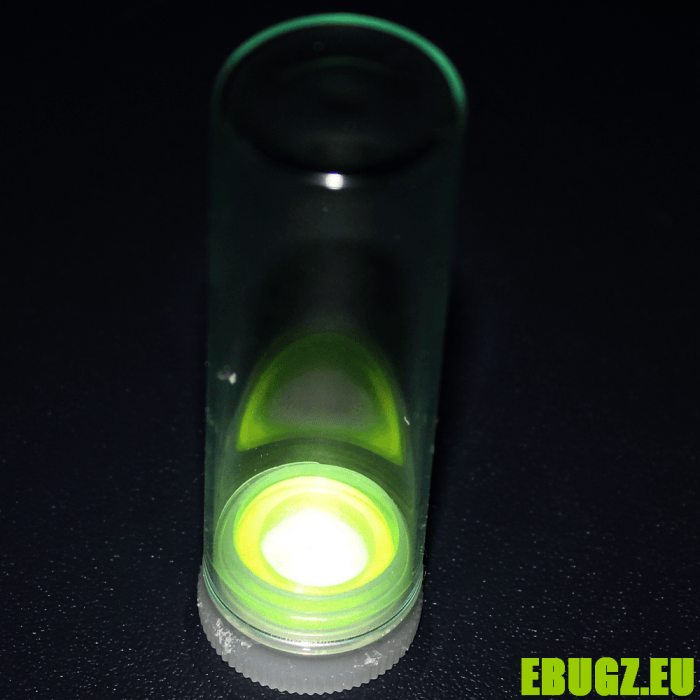 Starter pack iridium- Messor barbarus – Image 7