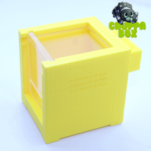 Chuppa box 5x5 citron