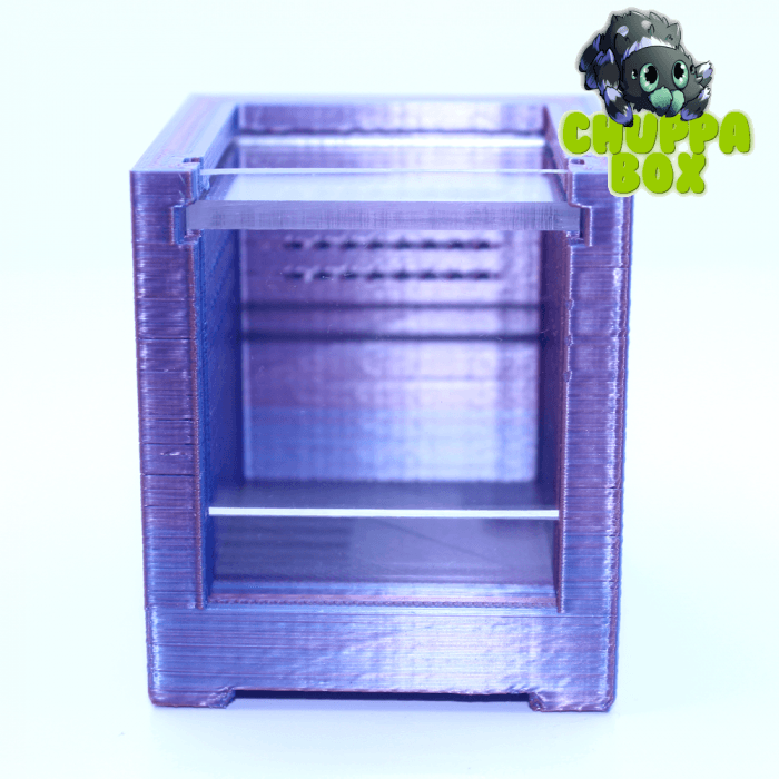 Chuppa box 5x5 myrtille – Image 3