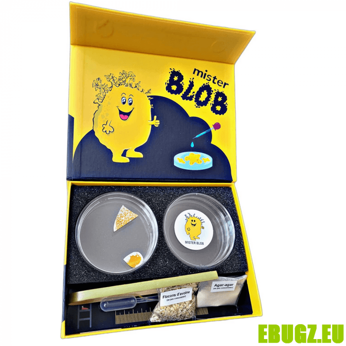 Coffret complet blob – Image 4