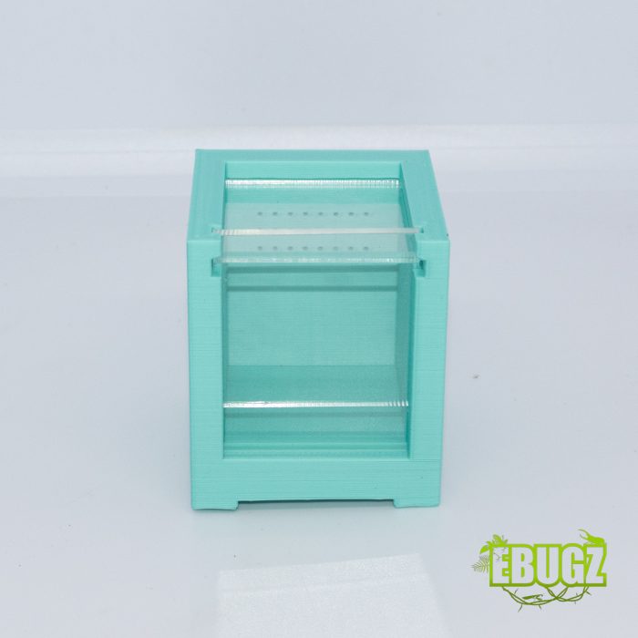 Chuppa box 5x5 Menthe glaciale – Image 2