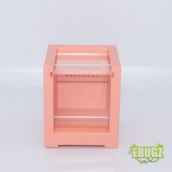 Chuppa box 5x5 pêche – Image 2