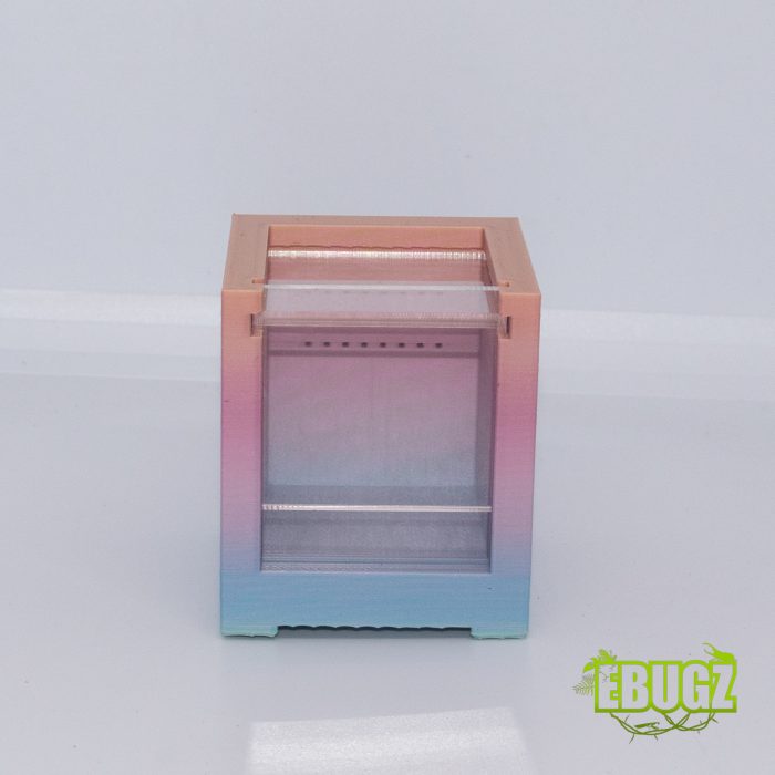 Chuppa box 5x5 tutti frutti – Image 2