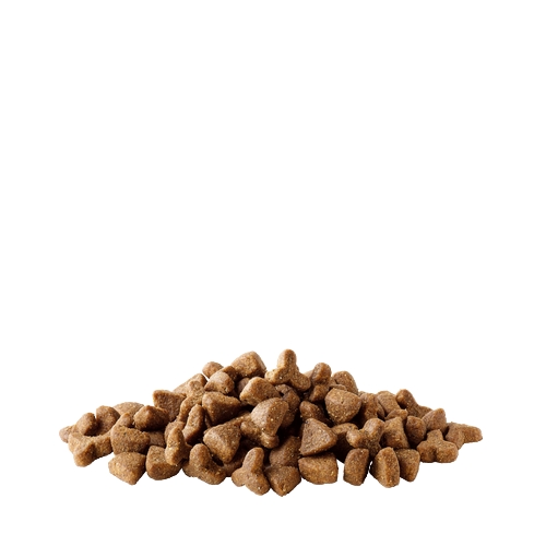 Complete ferret – Image 2