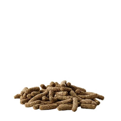 Complete cavia – Image 2