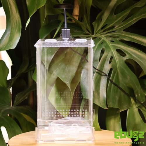 Kit terrarium acrylique lucky reptile
