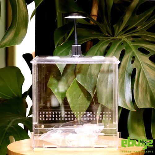 Kit terrarium acrylique lucky reptile