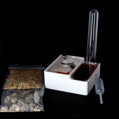 Kit fourmis smallcolo
