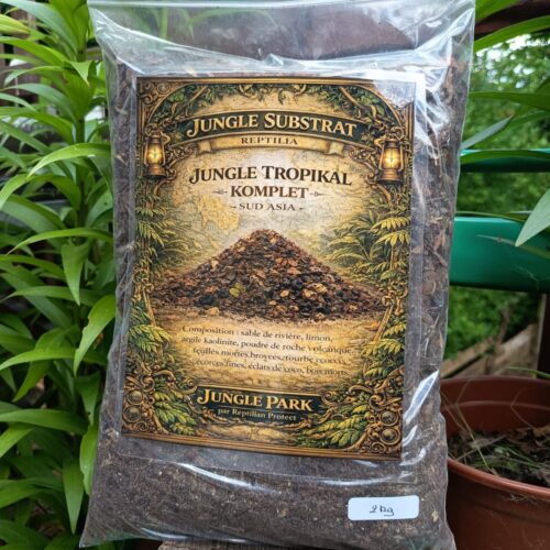 Jungle Insekta Komplet