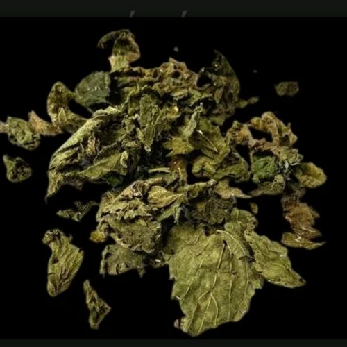 Feuilles séchées d'orties