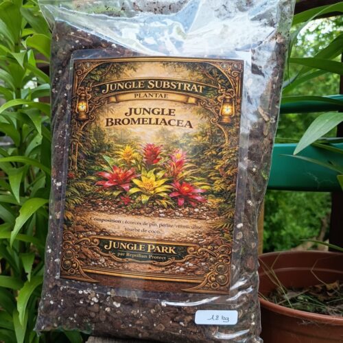 Jungle substrat Bromeliacea